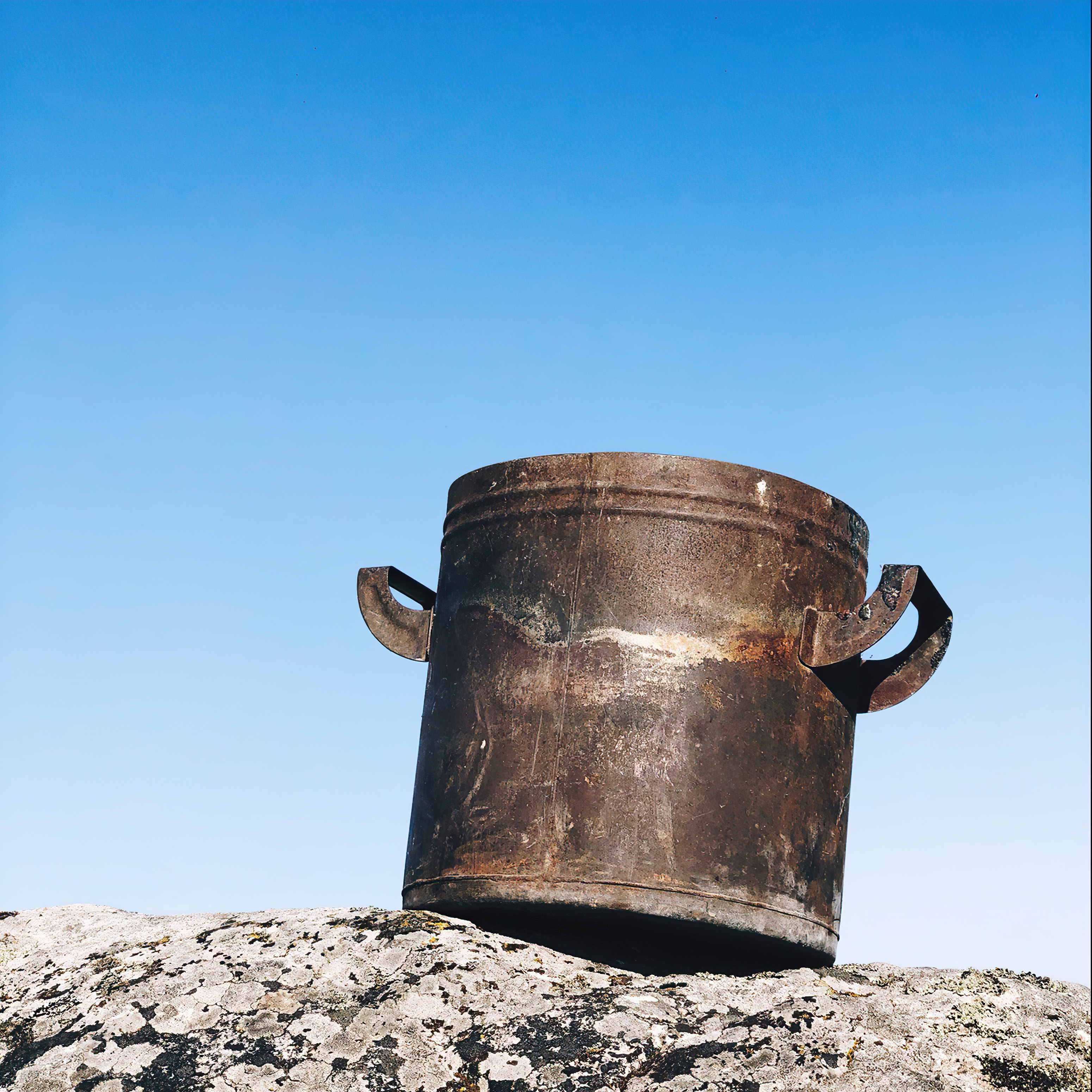 Зукмфтфд — cover